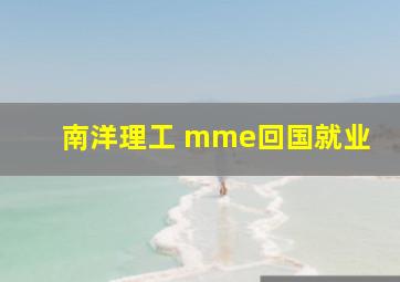 南洋理工 mme回国就业